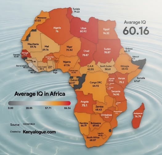 79.22 Morocca 67.03 Libya Egypt Avarage IQ 60.16 Mauritania 59.76 Mall 59.76 Niger Nigeria 67.76 Gabor 62.97 Chad 78.87 CAR 62.55 Congo DRC Sudan 78.87 South Sudan 58.61 Ethiopia 68.42 Kenya 75.2 Tanzania 74,95 Somalia 67.67 0.00 Average IQ in Africa 28.85 57.71 Angola 75.1 76.79 Source CEOWORLD Cresedby Kenyalogue.com Nomibia Botswana 66.19 South Atrica