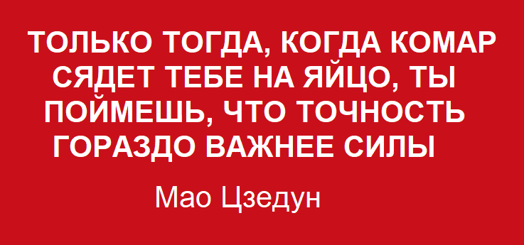 ТОЛЬКО ТОГДА, КОГДА КОМАР СЯДЕТ ТЕБЕ НА ЯЙЦО, ТЫ ПОИМЕШЬ, ЧТО ТОЧНОСТЬ ГОРАЗДО ВАЖНЕЕ СИЛЫ Мао Цзедун