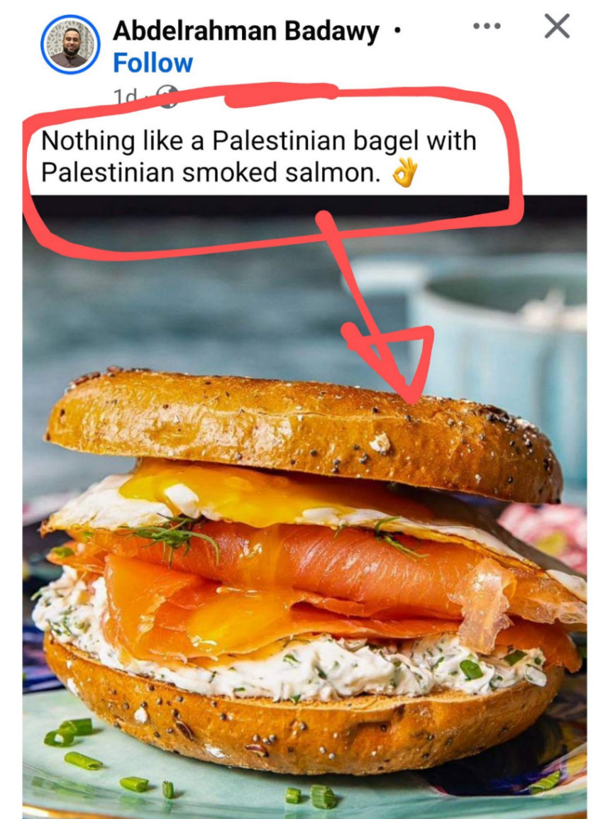 Abdelrahman Badawy • Follow Nothing like a Palestinian bagel with Palestinian smoked salmon. •••