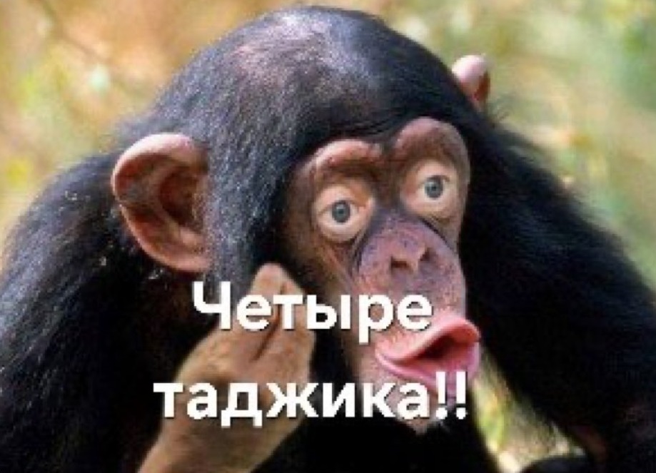 Четыре таджика!!